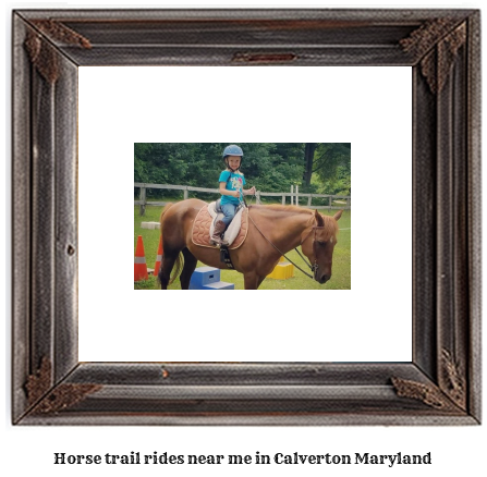 horse trail rides near me in Calverton, Maryland